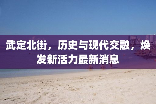 武定北街，历史与现代交融，焕发新活力最新消息