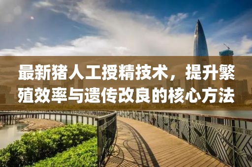最新猪人工授精技术，提升繁殖效率与遗传改良的核心方法