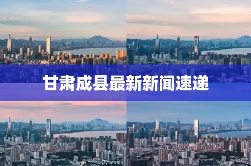 甘肃成县最新新闻速递