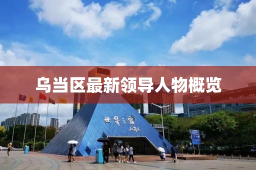 乌当区最新领导人物概览
