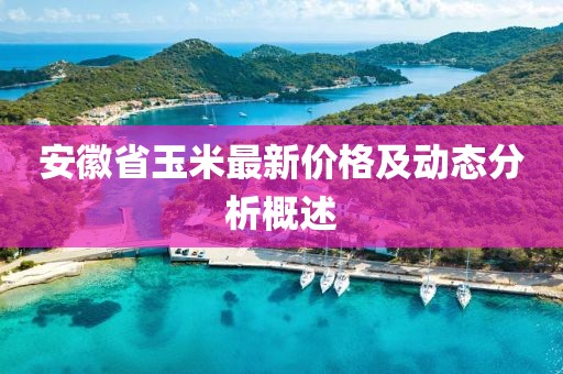 安徽省玉米最新价格及动态分析概述