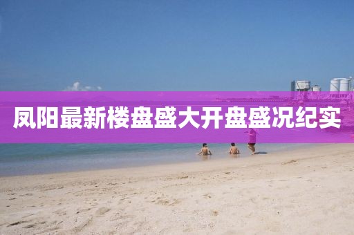 凤阳最新楼盘盛大开盘盛况纪实