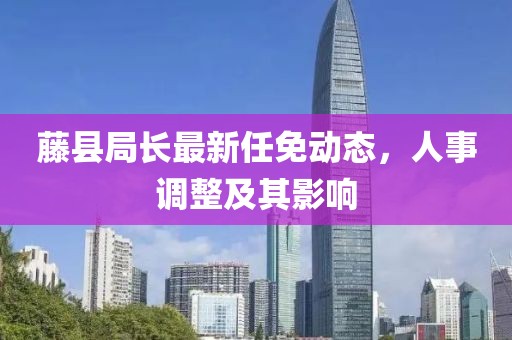 藤县局长最新任免动态，人事调整及其影响