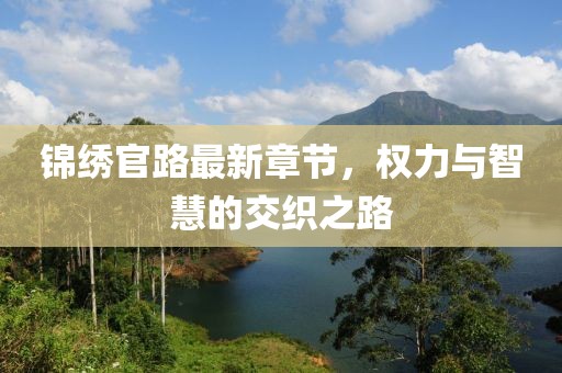锦绣官路最新章节，权力与智慧的交织之路
