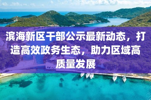 滨海新区干部公示最新动态，打造高效政务生态，助力区域高质量发展