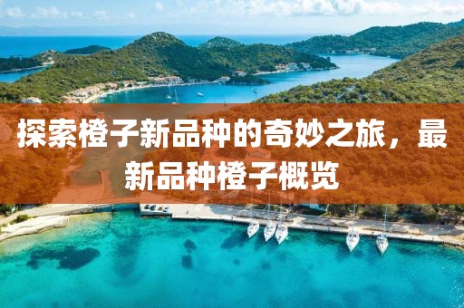 探索橙子新品种的奇妙之旅，最新品种橙子概览