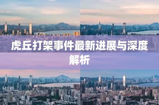 虎丘打架事件最新进展与深度解析