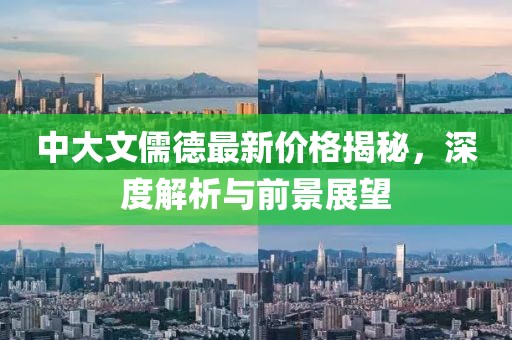 中大文儒德最新价格揭秘，深度解析与前景展望