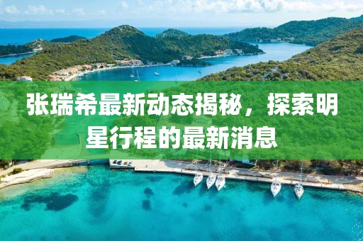 张瑞希最新动态揭秘，探索明星行程的最新消息