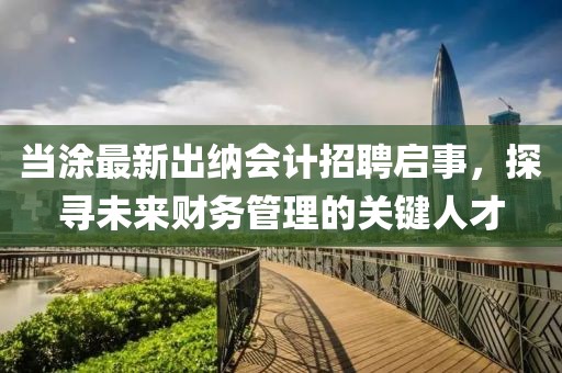 当涂最新出纳会计招聘启事，探寻未来财务管理的关键人才