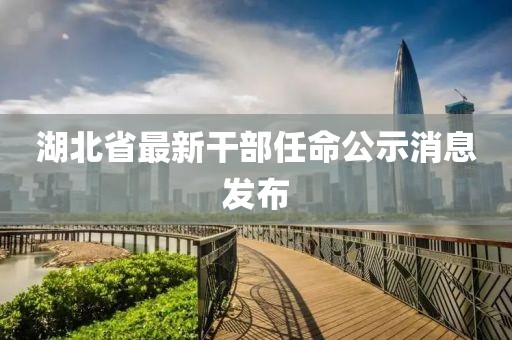 湖北省最新干部任命公示消息发布