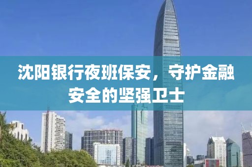 沈阳银行夜班保安，守护金融安全的坚强卫士