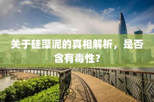 关于硅藻泥的真相解析，是否含有毒性？