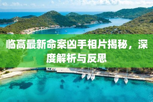 临高最新命案凶手相片揭秘，深度解析与反思
