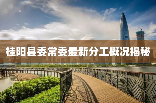 桂阳县委常委最新分工概况揭秘
