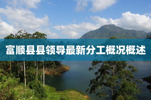 富顺县县领导最新分工概况概述