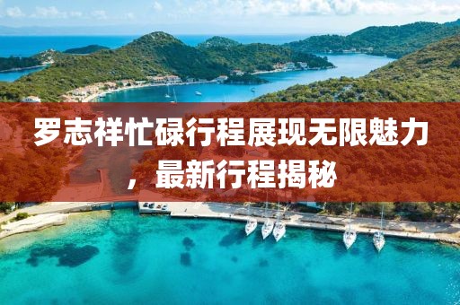罗志祥忙碌行程展现无限魅力，最新行程揭秘