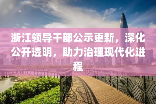 浙江领导干部公示更新，深化公开透明，助力治理现代化进程