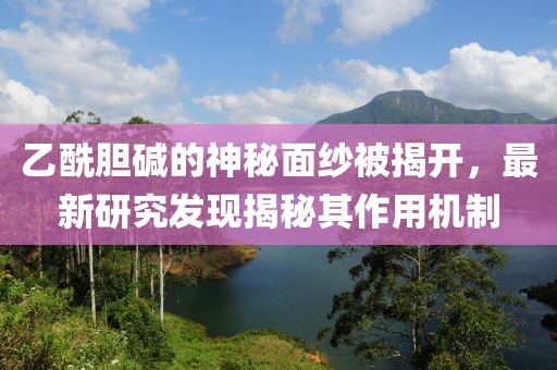 乙酰胆碱的神秘面纱被揭开，最新研究发现揭秘其作用机制
