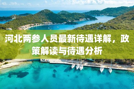 河北两参人员最新待遇详解，政策解读与待遇分析