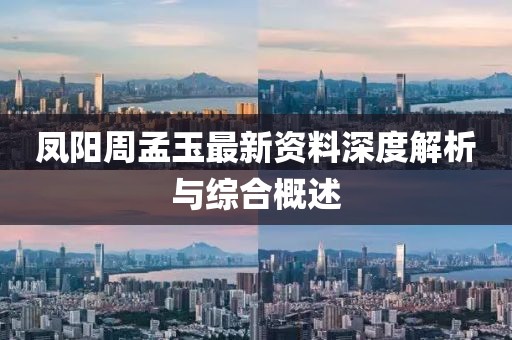 凤阳周孟玉最新资料深度解析与综合概述