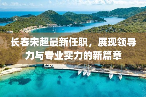 长春宋超最新任职，展现领导力与专业实力的新篇章