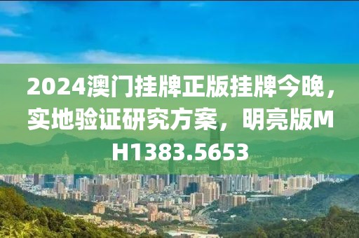 2024澳门挂牌正版挂牌今晚，实地验证研究方案，明亮版MH1383.5653