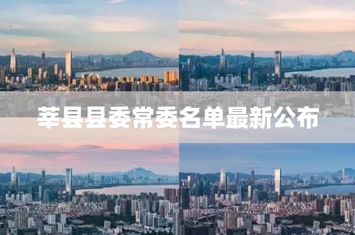 莘县县委常委名单最新公布