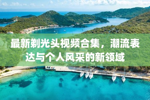 最新剃光头视频合集，潮流表达与个人风采的新领域