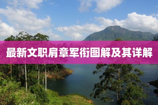 最新文职肩章军衔图解及其详解