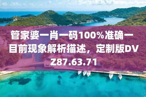 管家婆一肖一码100%准确一 目前现象解析描述，定制版DVZ87.63.71