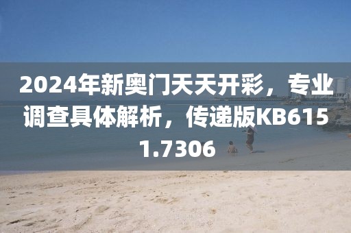 2024年新奥门天天开彩，专业调查具体解析，传递版KB6151.7306