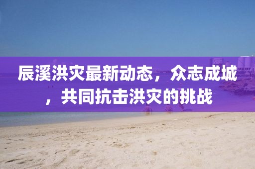 辰溪洪灾最新动态，众志成城，共同抗击洪灾的挑战