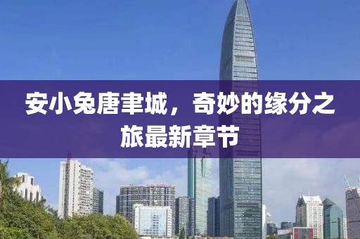 安小兔唐聿城，奇妙的缘分之旅最新章节