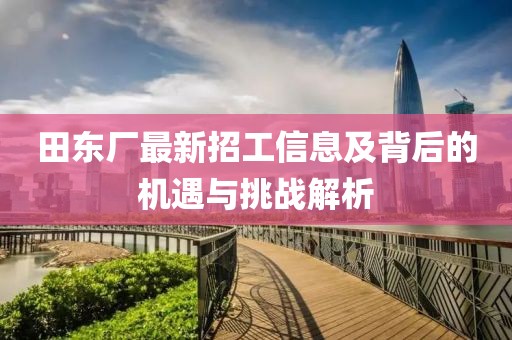 田东厂最新招工信息及背后的机遇与挑战解析