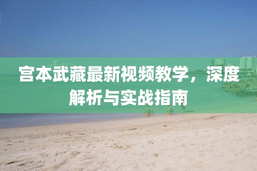 宫本武藏最新视频教学，深度解析与实战指南