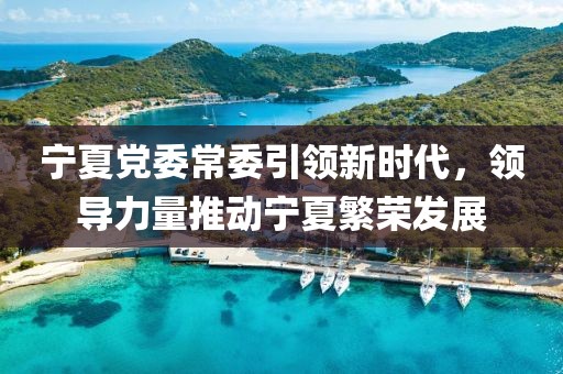 宁夏党委常委引领新时代，领导力量推动宁夏繁荣发展
