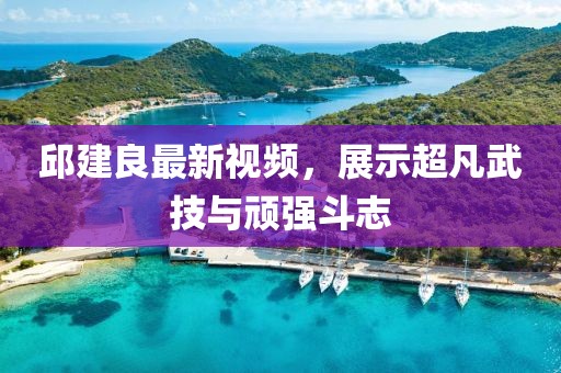 邱建良最新视频，展示超凡武技与顽强斗志
