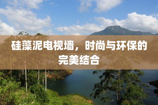 硅藻泥电视墙，时尚与环保的完美结合