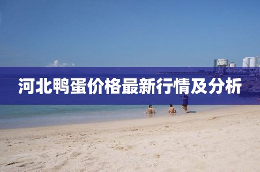 河北鸭蛋价格最新行情及分析