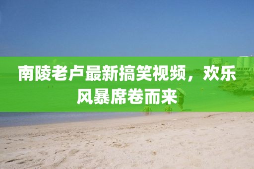 南陵老卢最新搞笑视频，欢乐风暴席卷而来