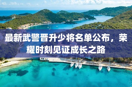 最新武警晋升少将名单公布，荣耀时刻见证成长之路