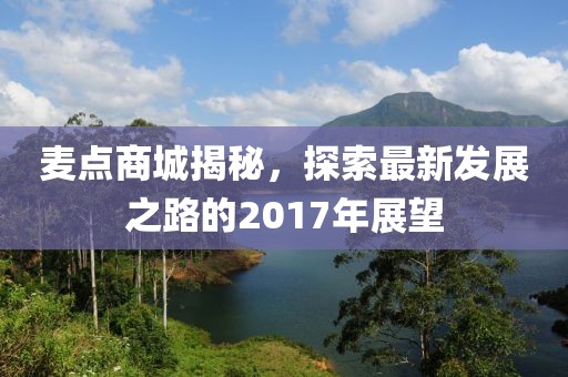 麦点商城揭秘，探索最新发展之路的2017年展望