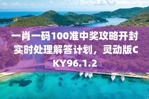 一肖一码100准中奖攻略开封 实时处理解答计划，灵动版CKY96.1.2