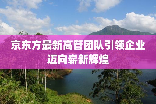 京东方最新高管团队引领企业迈向崭新辉煌