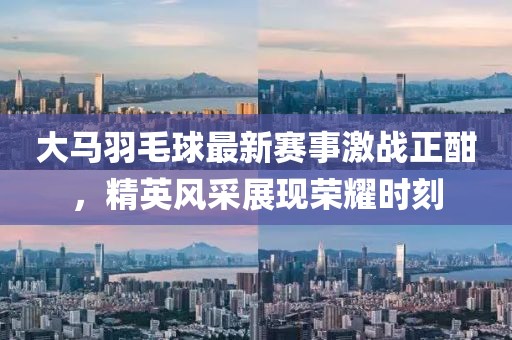大马羽毛球最新赛事激战正酣，精英风采展现荣耀时刻