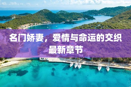 名门娇妻，爱情与命运的交织最新章节