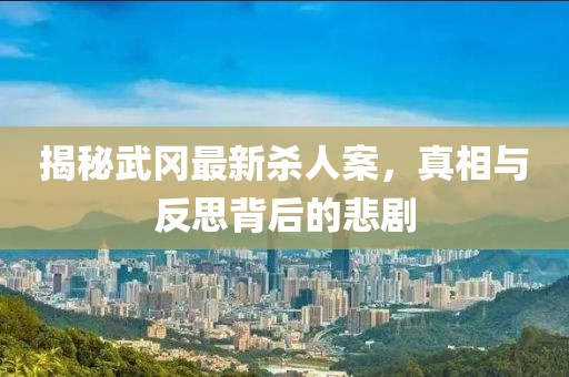 揭秘武冈最新杀人案，真相与反思背后的悲剧