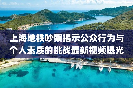 上海地铁吵架揭示公众行为与个人素质的挑战最新视频曝光