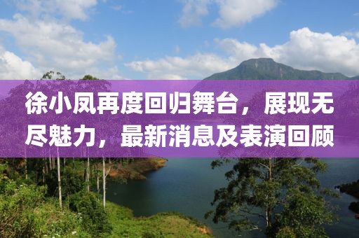 徐小凤再度回归舞台，展现无尽魅力，最新消息及表演回顾